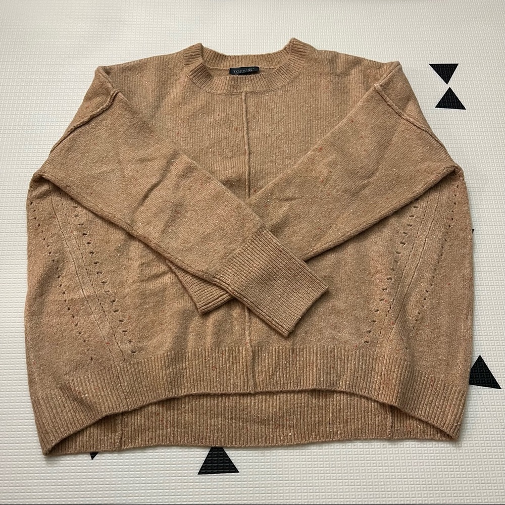 Topshop sweater
